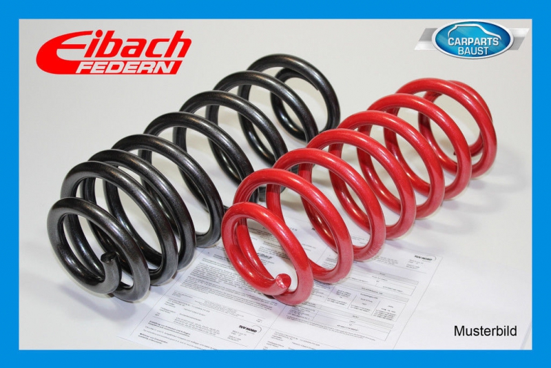 Eibach Federn Gutachten